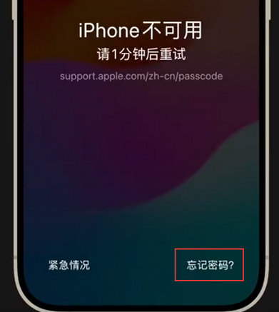 永顺苹果手机密码维修分享iPhone忘记了刚设置的密码 